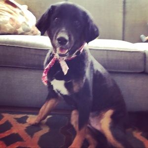 Meet your Posher, Eric